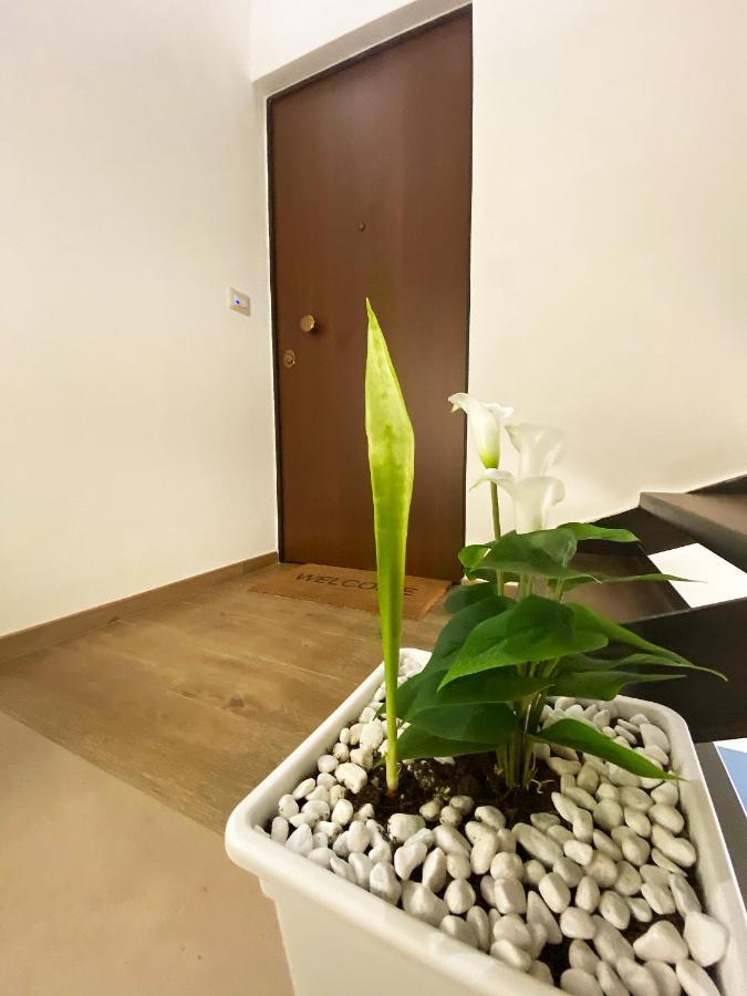 White Home 比谢列 外观 照片